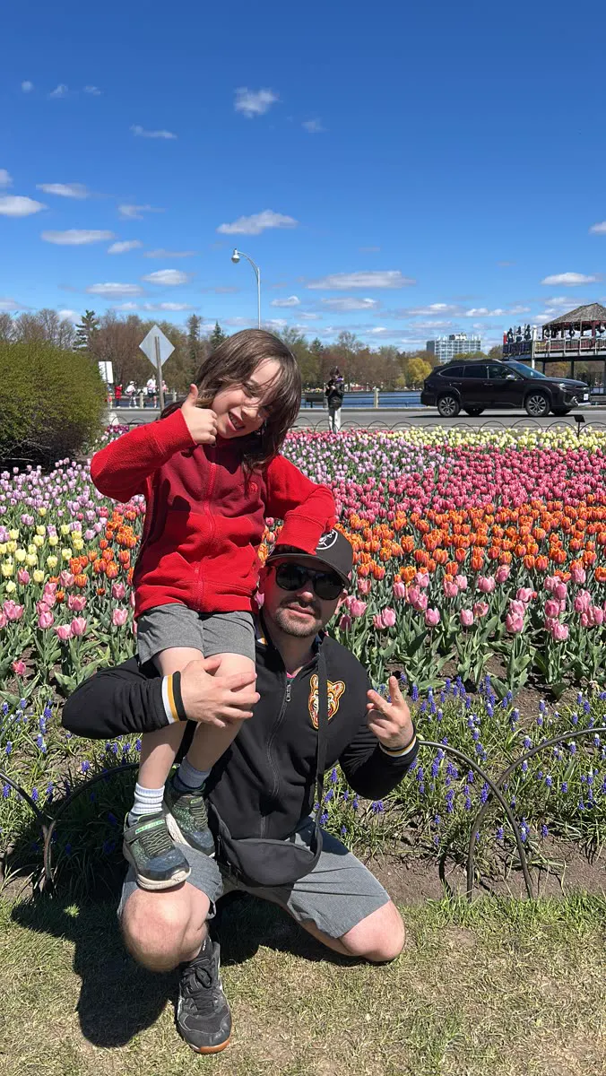 A man carries a child on his shoulders in front of a tulip field